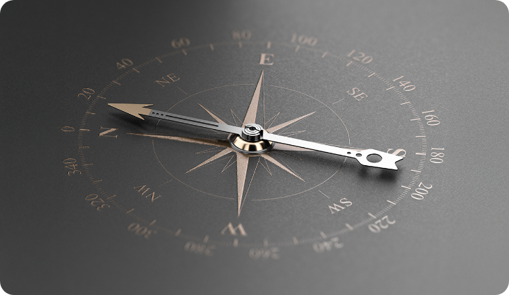 Visión del Servicio Legal